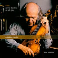 Violin Partita No. 1 in B Minor, BWV 1002: IV. Double. Presto