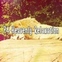 74 Heavenly Relaxation