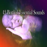 42 Bottled Essential Sounds