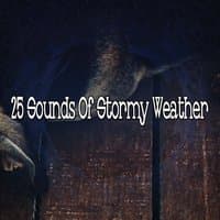 25 Sounds Of Stormy Weather