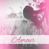 Amour - Grand sentiment, Trois mots, Musique d'amour, Vin et fleurs rouge, Rencontre dans le restaurant, Le sentiment le plus fort, Café adorable