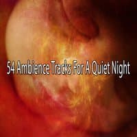 54 Ambience Tracks For A Quiet Night