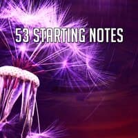 53 Starting Notes