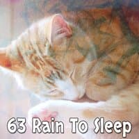 63 Rain To Sleep