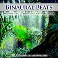 Binaural Beats and Rainforest Thunderstorm Sounds For Spa, Alpha Waves Sleep and Ambient Spa Music