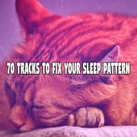 70 Tracks To Fix Your Sleep Pattern