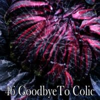 46 Goodbyeto Colic