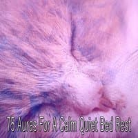 75 Auras For A Calm Quiet Bed Rest