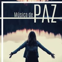 Música de Paz - 20 Canciones para el Retiro y Despertar Espiritual