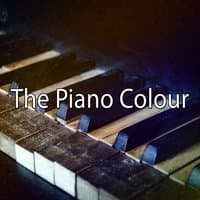 The Piano Colour