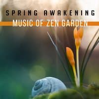 Spring Awakening: Music of Zen Garden, Nature Sounds for Mental Journey, Stress Relieving, Relaxing Instrumental New Age for Yoga, Deep Meditation