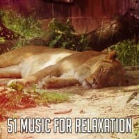 51 Music for Relaxation