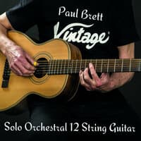 Solo Orchestral 12 String Guitar