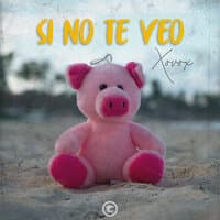 Si No Te Veo