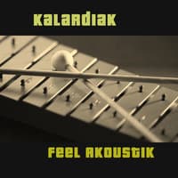 Feel Akoustik