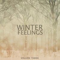 Winter Feelings, Vol. 3