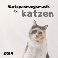 Entspannungsmusik für Katzen 2019 - Extrem Beruhigende Klänge für ihre Kätzchen