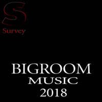 BIGROOM MUSIC ,  2018