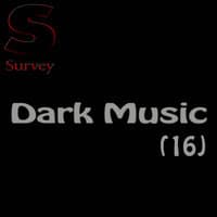 Dark Music (16)