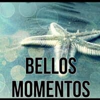 Bellos Momentos – Bienestar, Musica para Sanar el Alma, Musica para Meditacion, Reiki, Ayurveda, Meditar