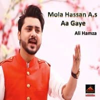 Mola Hassan A.s Aa Gaye