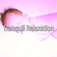 Tranquil Relaxation