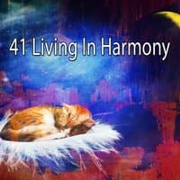 41 Living In Harmony