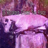 25 Recorded Storms For Peace