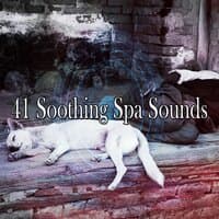 41 Soothing Spa Sounds