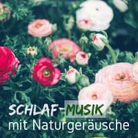 Schlaf-Musik mit Naturgeräusche - Schneller Einschlafen, Glockenspiel Zen Ambient Relax