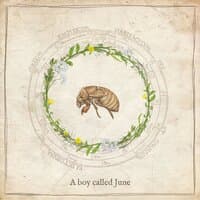 A Boy Called June