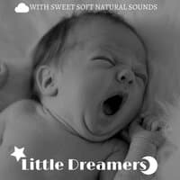 Little Dreamers: Sleep Time Music with Sweet Soft Natural Sounds