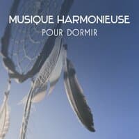 Harmonie intérieure - Loup hurlant