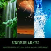 Sonidos Relajantes - Sonidos de la Naturaleza para Relajar el Alma y Sanar la Mente con Musica de Meditaciòn Profunda