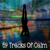 59 Tracks of Calm