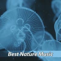 Best Nature Music