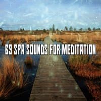 69 Spa Sounds For Meditation