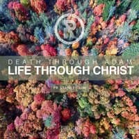 Death Through Adam, Life Through Christ