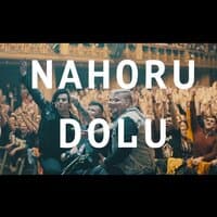 Nahoru Dolu