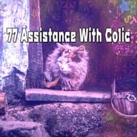 77 Assistance With Colic