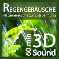 Regengeräusche (3D-Sound ohne Musik) - Naturgeräusche zur Entspannung