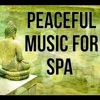 Peaceful Music for Spa -  Nature Sound, New Age, Massage Music, Reiki Healing, Lounge Music, Soothing Music, Calmness