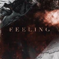 Feeling