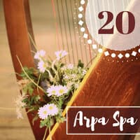 Arpa Spa 20 - Armonia Curativa, Esperienze Zen per Centro Massaggi