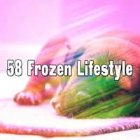 58 Frozen Lifestyle