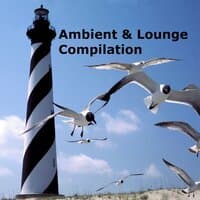 Ambient & Lounge