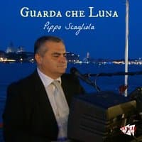 Guarda che luna