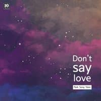 Don't Say Love