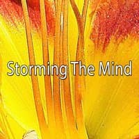 Storming The Mind