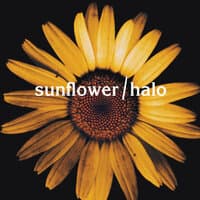 Sunflower / Halo (Mashup)